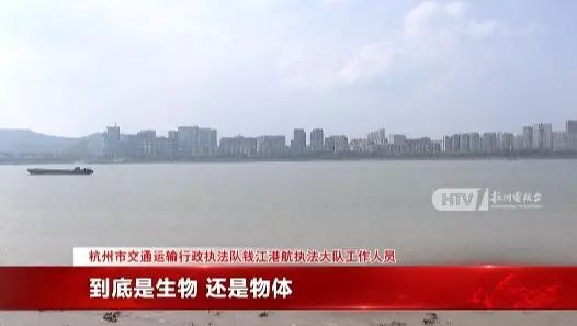 绪钱塘江水面疑似出现高速不明物：可能超5米j9九游真人游戏第一平台江西天降火球未头(图5)
