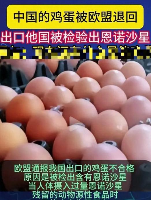 蛋被退回！含有恩诺沙星山姆排队的人更多了j9九游真人游戏第一品牌我国出口欧盟的鸡(图5)