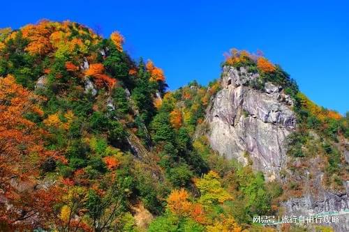 大概多少开销旅游出行带走这篇j9平台第一次来四川旅游三天(图3)
